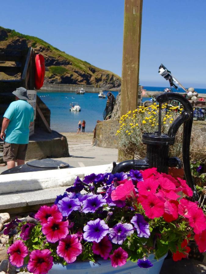 The Slipway B&B Port Isaac Exterior foto
